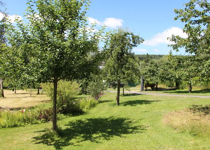 Tiny Haus Westerwald 16 Blue By Interhome Σπίτι διακοπών Bad Marienberg